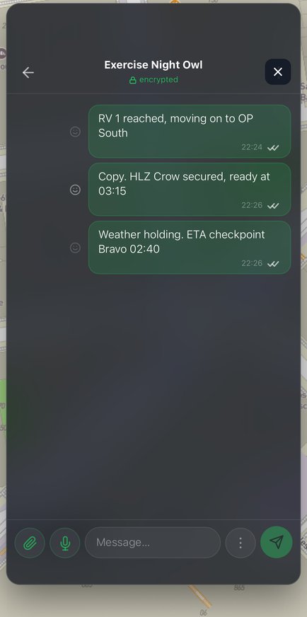 Encrypted chat
